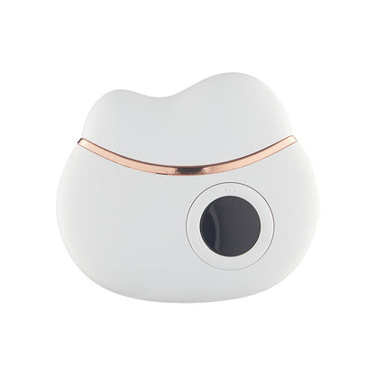 Glomova Smart Bian Stone Gua Sha Massager