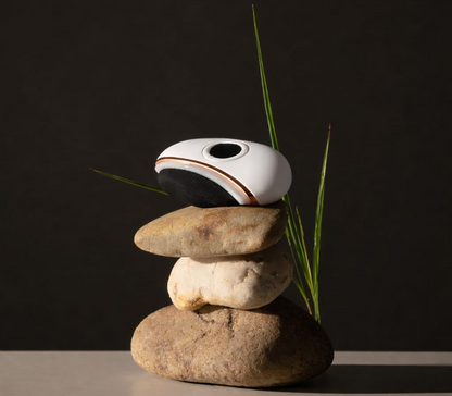 Glomova Smart Bian Stone Gua Sha Massager